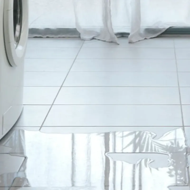 Appliance Leak Cleanup in Armada, MI
