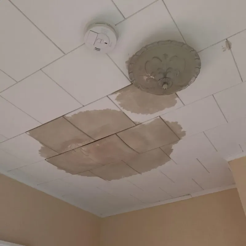 Ceiling Water Damage Repair in Armada, MI