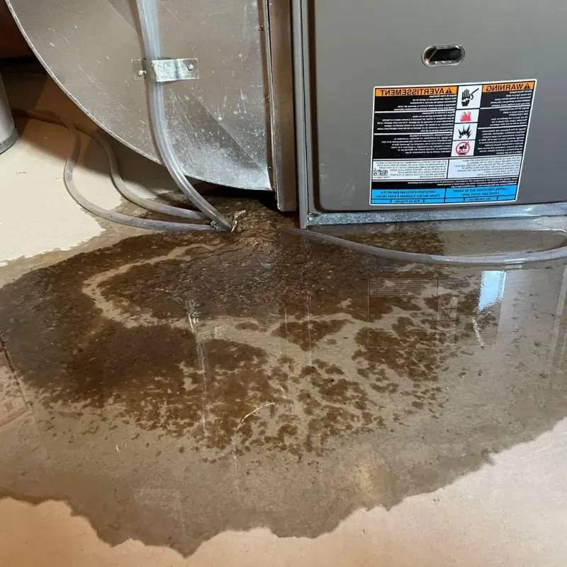 Pipe Burst and Leak Restoration in Armada, MI